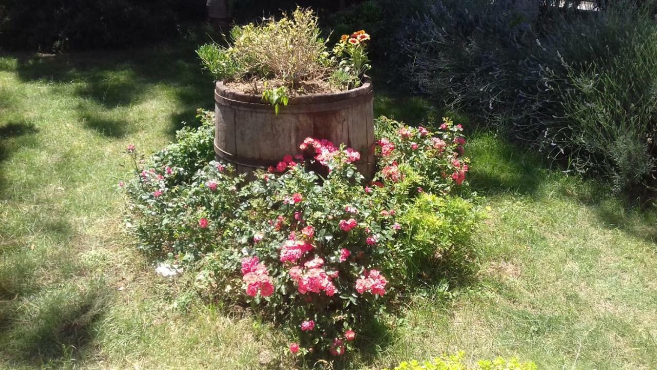 B&B Casa Losea Castello delle Forme Eksteriør bilde